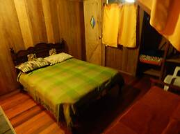 Dogs and Fish Dream Land