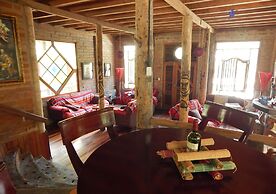 Dogs and Fish Dream Land