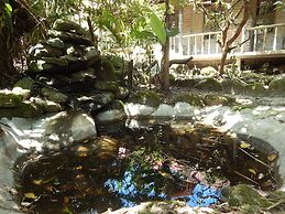 Dogs and Fish Dream Land