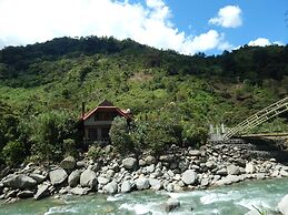 Dogs and Fish Dream Land