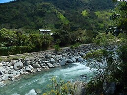 Dogs and Fish Dream Land