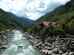 Dogs and Fish Dream Land