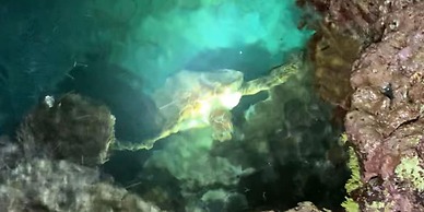 Guest House AMA TERRACE