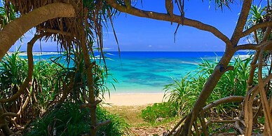 Guest House AMA TERRACE