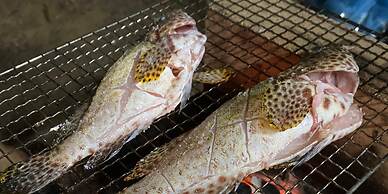 Guest House AMA TERRACE