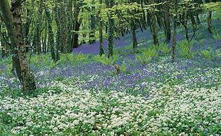 Courtmacsherry hotel