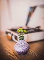 Berghotel Altes Wallberghaus