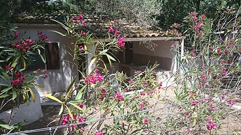 Balanea - Campsite
