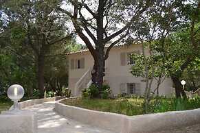 Balanea - Campsite