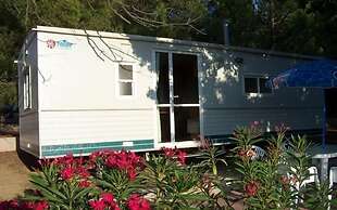 Balanea - Campsite