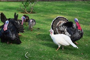 Fazlani Natures Nest - The Wellness Retreat