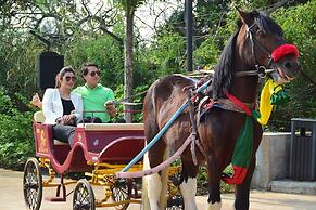 Fazlani Natures Nest - The Wellness Retreat