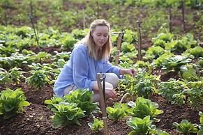 Fazlani Natures Nest - The Wellness Retreat