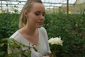 Fazlani Natures Nest - The Wellness Retreat