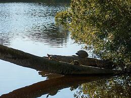 3572 Seascape Premier - 1 Br Villa