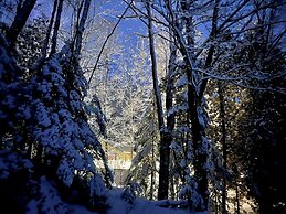 Hauser's Bayfield Cabin