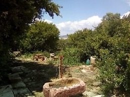 Giardino dei Melograni