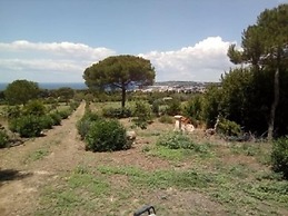 Giardino dei Melograni
