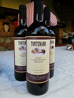 Agriturismo Tontenano