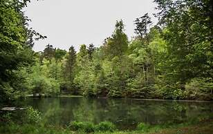 Breezy Mountain View