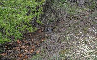 Beavers Mountain Escape