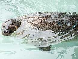 Super Hotel Asahikawa