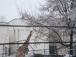 Super Hotel Asahikawa