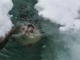 Super Hotel Asahikawa