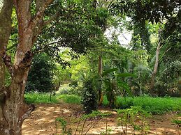 Jungle House Udawalawe Holiday Lodge