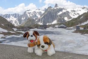 Motel du Bivouac Napoléon