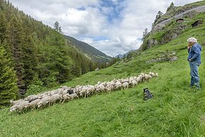 Motel du Bivouac Napoléon