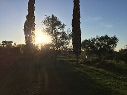 Alexander Apartments