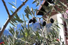 Schenna Garni Eden Bed & Breakfast