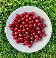 Relais Valpolicella B&B