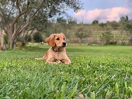 Relais Valpolicella B&B