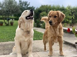 Relais Valpolicella B&B