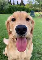 Relais Valpolicella B&B