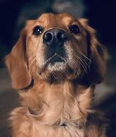 Relais Valpolicella B&B