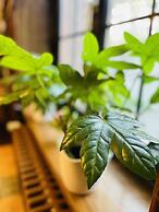 Hotel Hoepfner Burghof