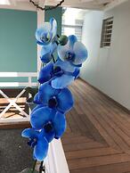 Hotel La Christophine