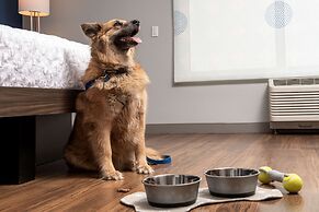 Tru by Hilton Rapid City Rushmore