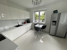 Modern House with Garden
