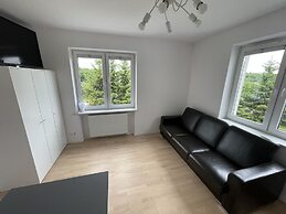 Modern House with Garden