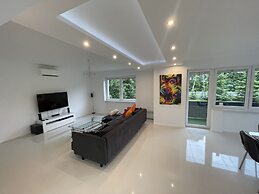 Modern House with Garden