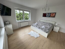 Modern House with Garden