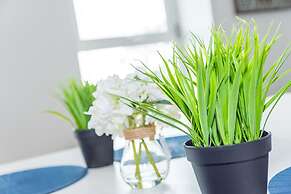 Off The Square Apartments