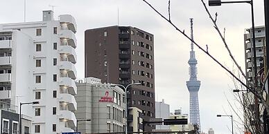 Business Hotel Sun Palace