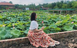 Amazing Ninh Binh Garden