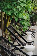 Amazing Ninh Binh Garden