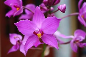 Amazing Ninh Binh Garden